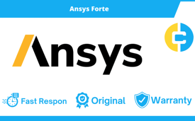 Ansys Forte